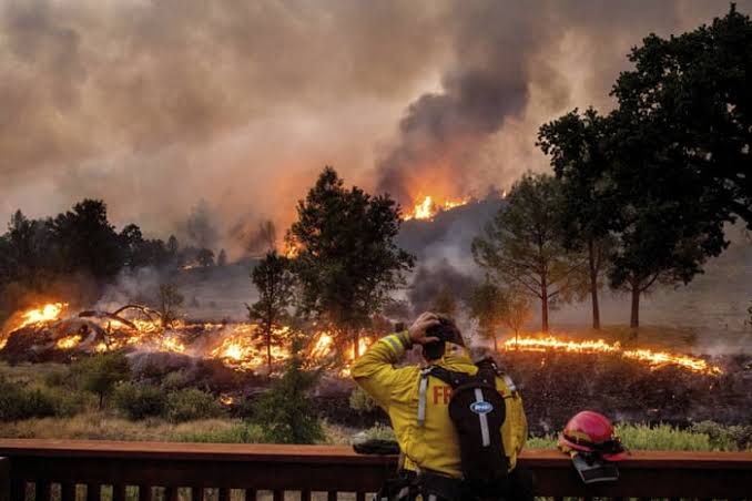 After a Building Fire or Other Disaster, Who Can You Sue?